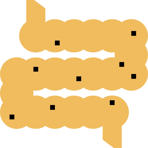 Intestine 图标