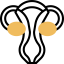 Uterus アイコン 64x64