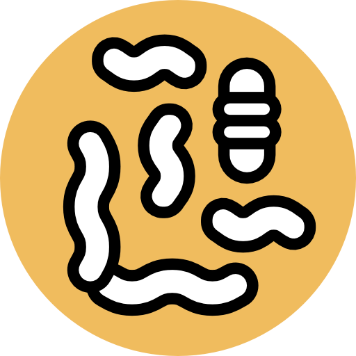 Microorganism Ikona