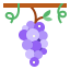 Grapes icon 64x64
