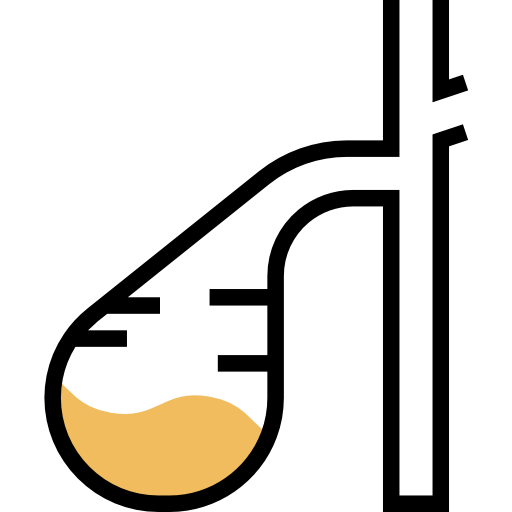 Gallbladder アイコン