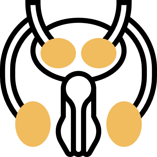 Organ biểu tượng