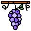 Grapes icon 64x64