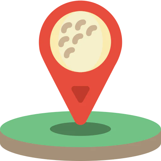 Location icon