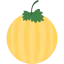 Melon іконка 64x64