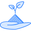 Sprout icon 64x64