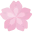 Cherry blossom 상 64x64