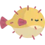 Blowfish 상 64x64