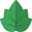 Leaf icon 64x64