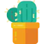 Cactus icon 64x64