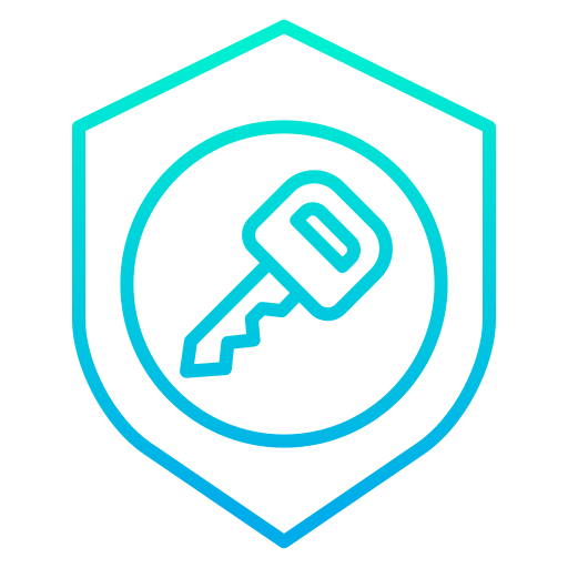 Key icon