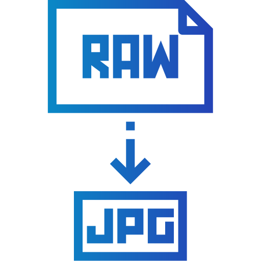 Raw file ícone