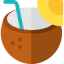 Coconut drink Ikona 64x64