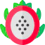 Dragon fruit icon 64x64