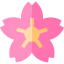 Cherry blossom icon 64x64
