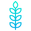 Wheat アイコン 64x64