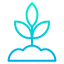 Sprout アイコン 64x64