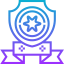 Shield icon 64x64