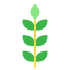 Wheat icon 64x64