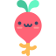 Radish 图标 64x64