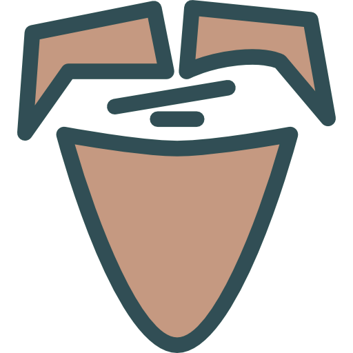 Beard icon