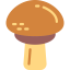 Fungi icon 64x64