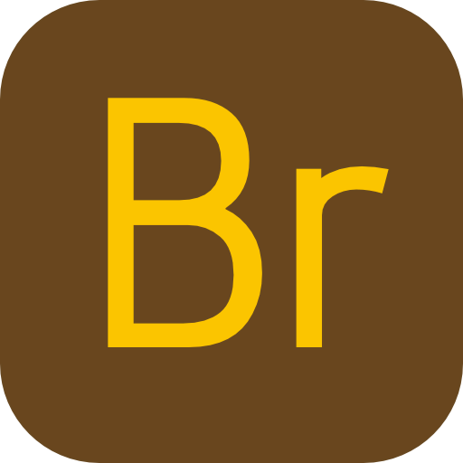 Bridge icon