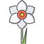 Narcissus Ikona 64x64