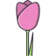 Tulip Ikona 64x64
