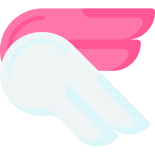 Wings icon