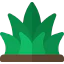 Grass icon 64x64