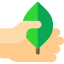Leaf icon 64x64