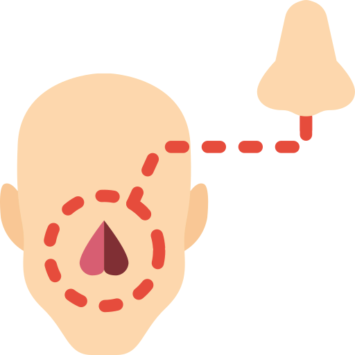 Nose 상
