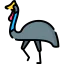 Cassowary 图标 64x64
