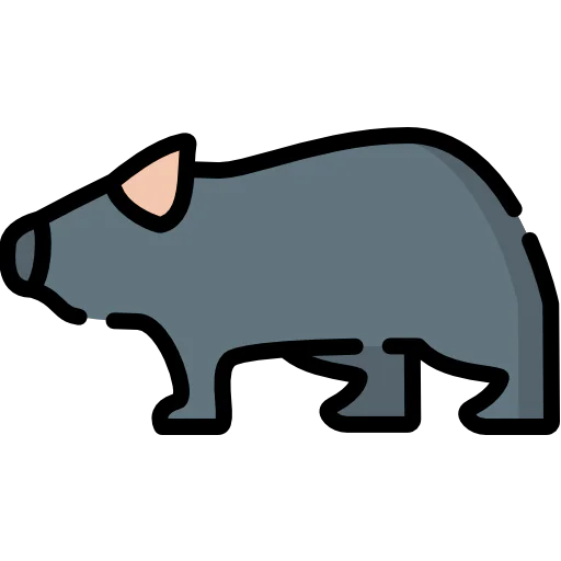Wombat icon