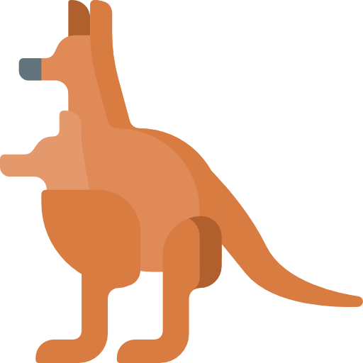 Kangaroo icon