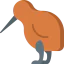 Kiwi Ikona 64x64