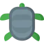 Turtle Ikona 64x64