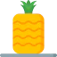Pineapple Ikona 64x64