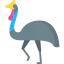 Cassowary Ikona 64x64