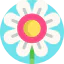 Flower icon 64x64