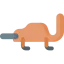 Platypus 상 64x64
