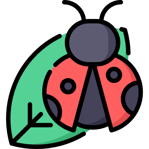Bug 상