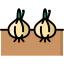 Onion アイコン 64x64