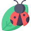 Bug 상 64x64