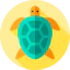 Turtle Symbol 64x64