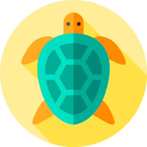 Turtle icon