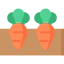 Carrot 상 64x64