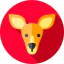 Kangaroo Symbol 64x64