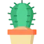 Cactus 상 64x64